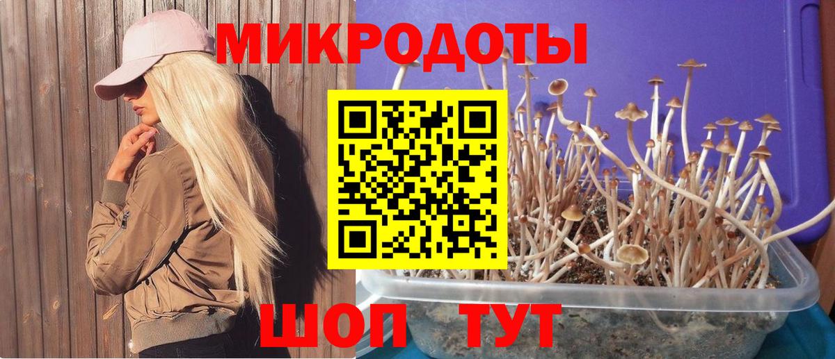 Галлюциногенные грибы Magic Shrooms  Галлюциногенные грибы прущие грибы  Димитровград  Вход с VPN 